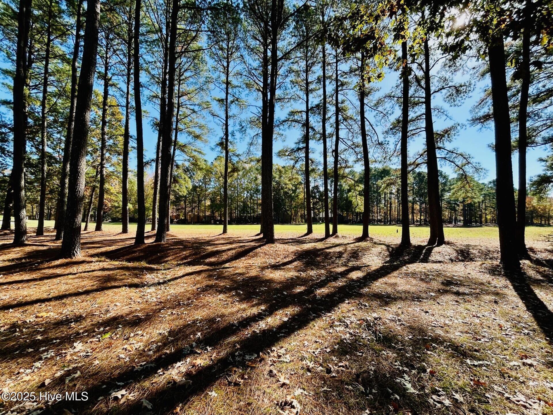 Image 4: E-11 Back of Lot