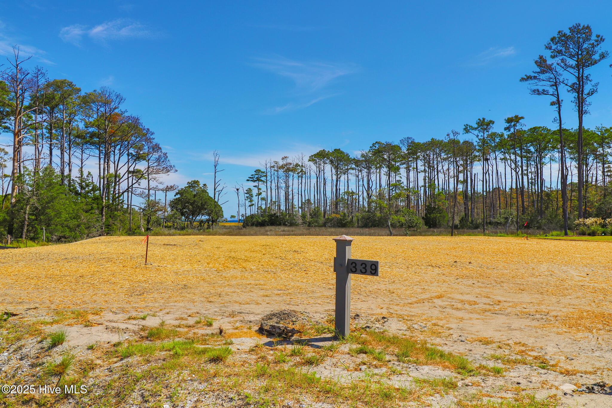 Image 3: 530 Freedom Park Rd