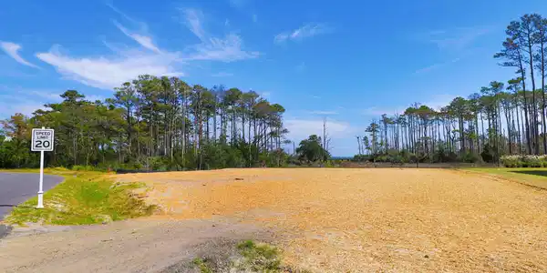 Image 4: 530 Freedom Park Rd