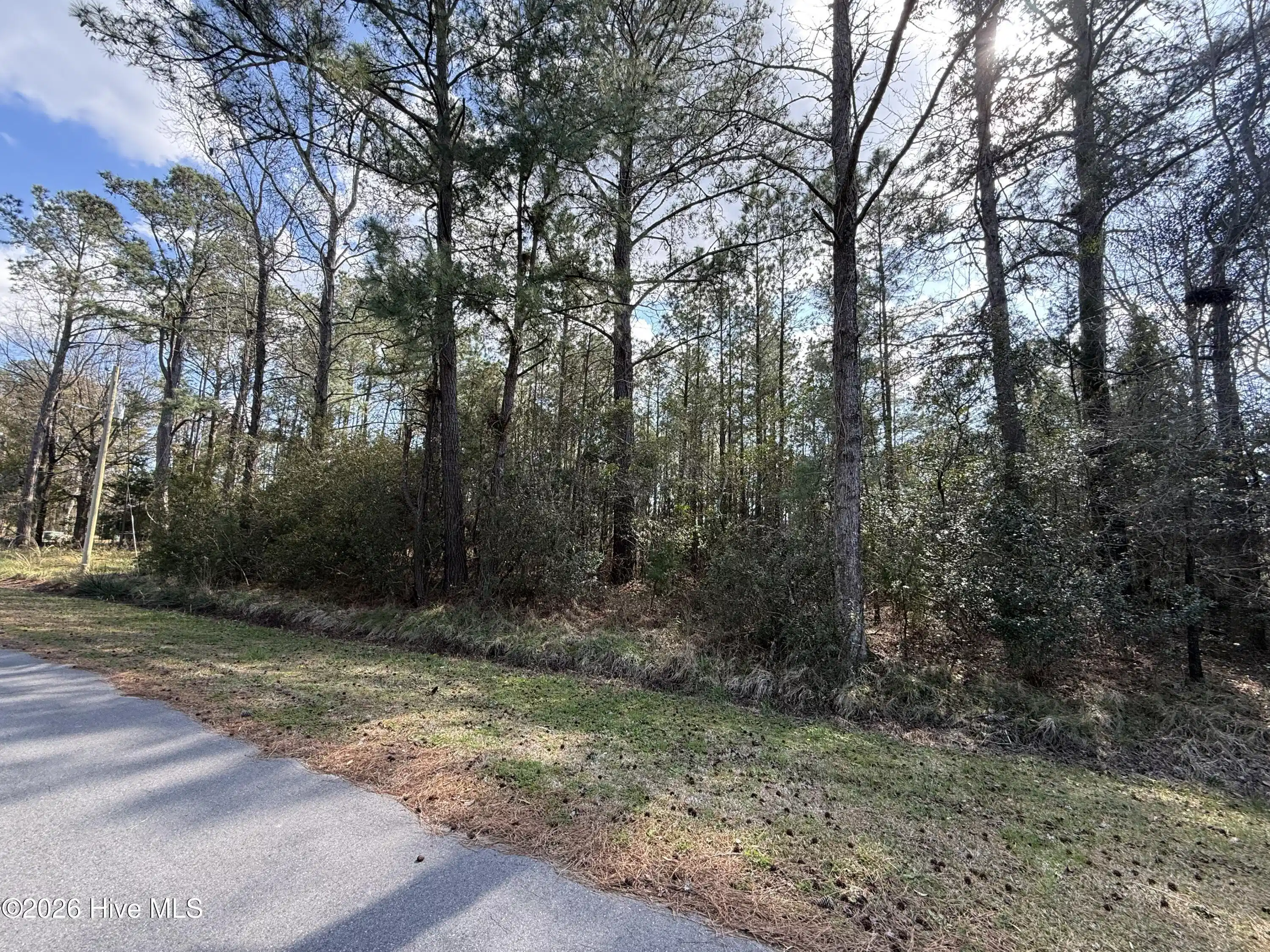 Image 1: Lot