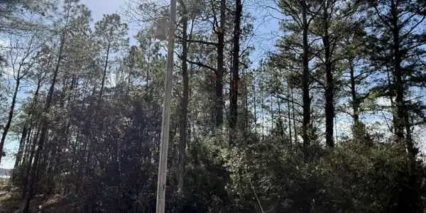 Image 2: Lot