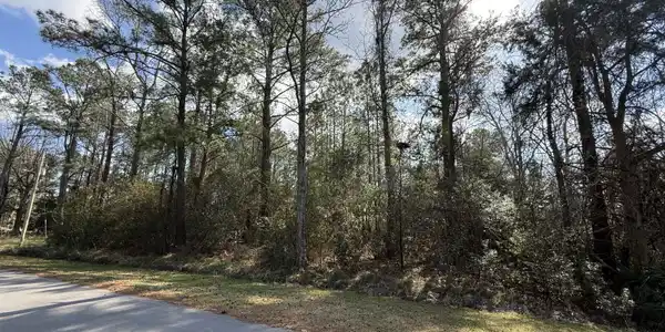Image 3: Lot