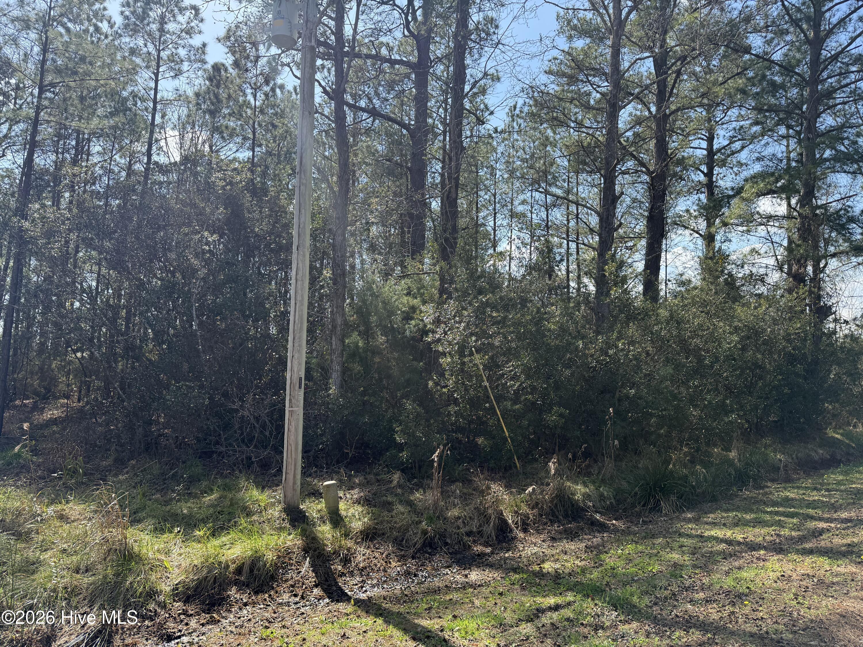 Image 4: Lot