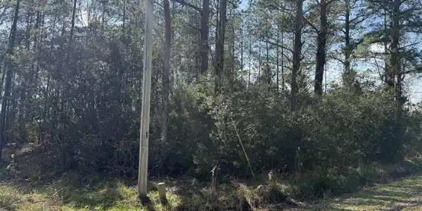 Image 4: Lot