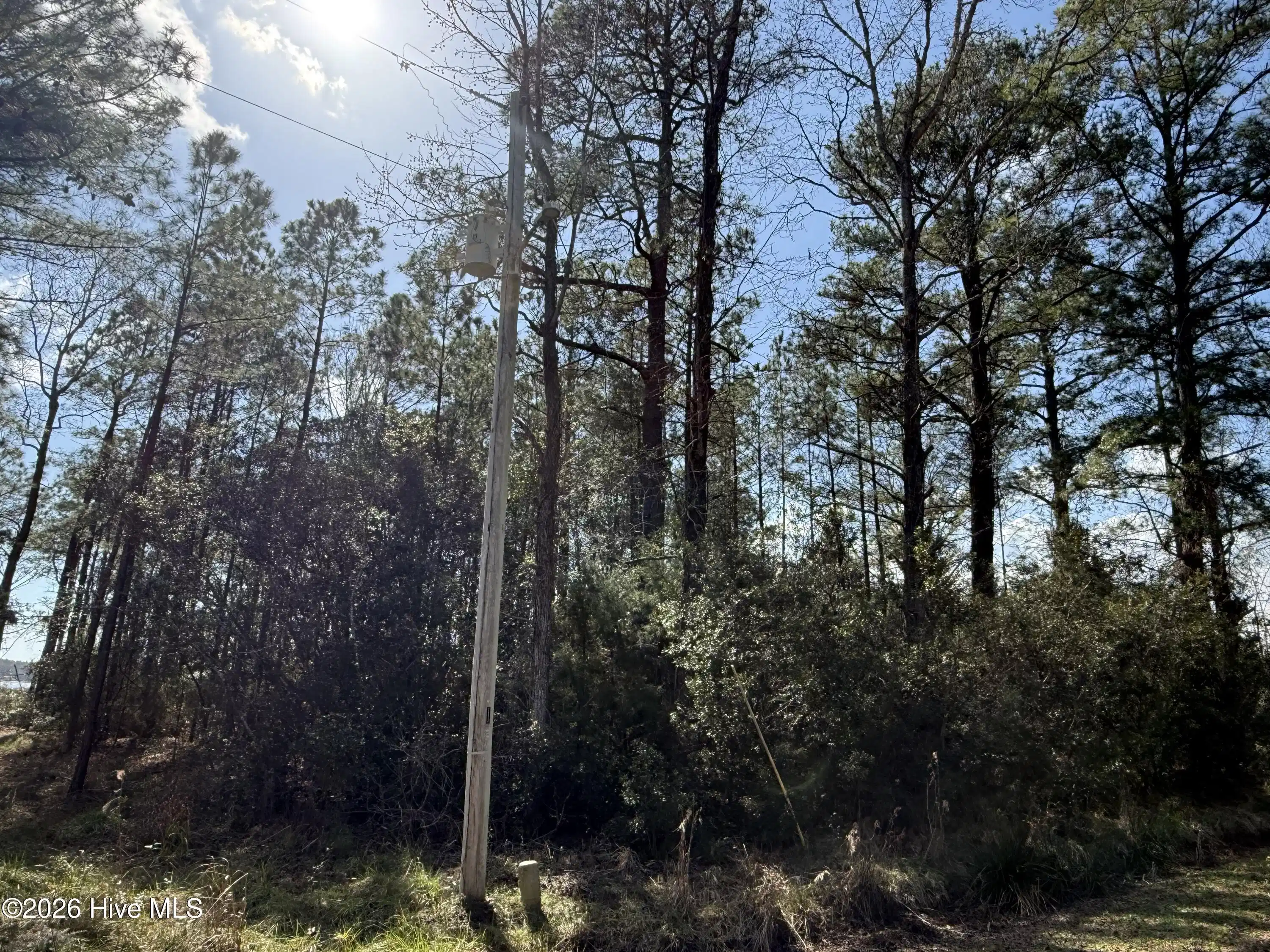 Image 1: Lot