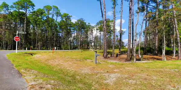 Image 3: 502 Freedom Park Rd
