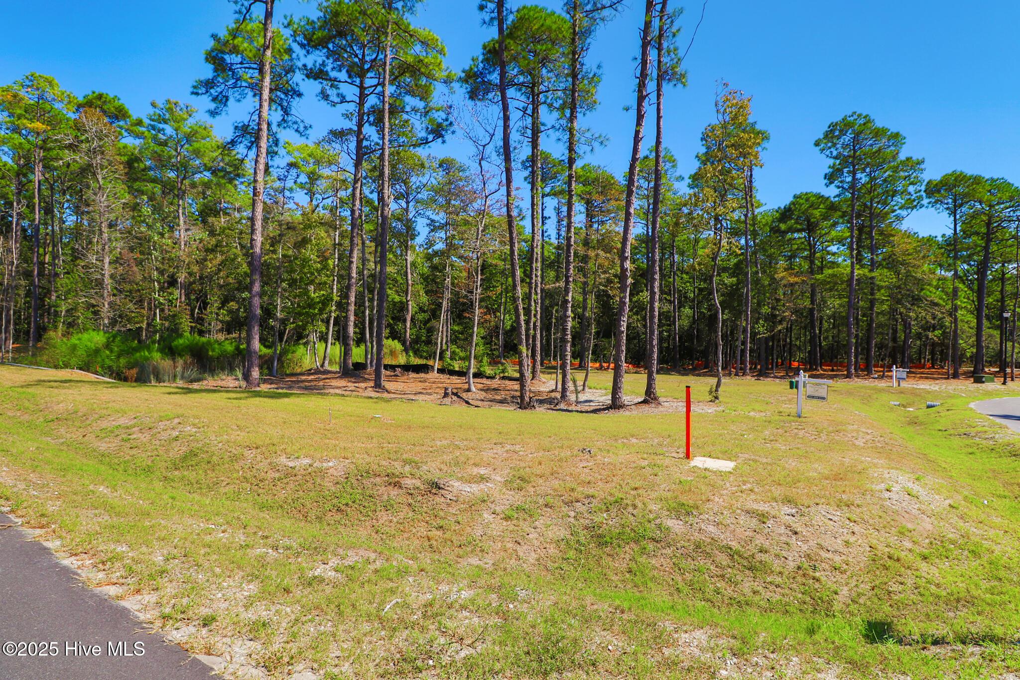 Image 4: 502 Freedom Park Rd