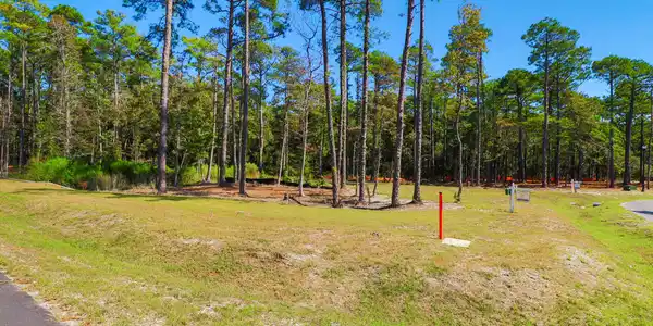 Image 4: 502 Freedom Park Rd