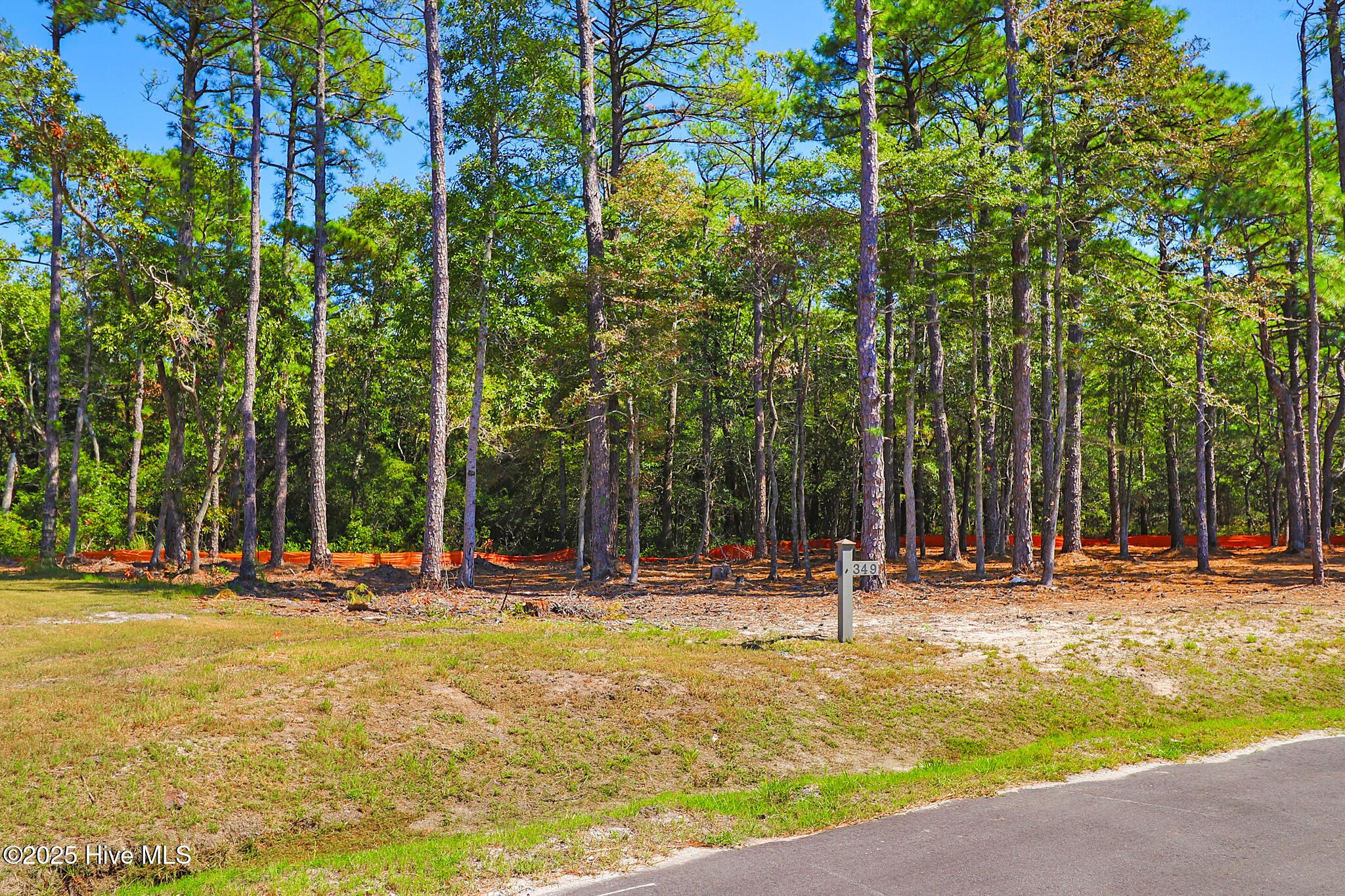 Image 3: 420 Summer Duck Drive, Lot 349