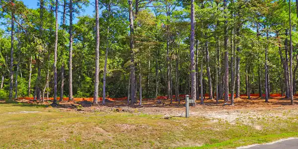 Image 3: 420 Summer Duck Drive, Lot 349