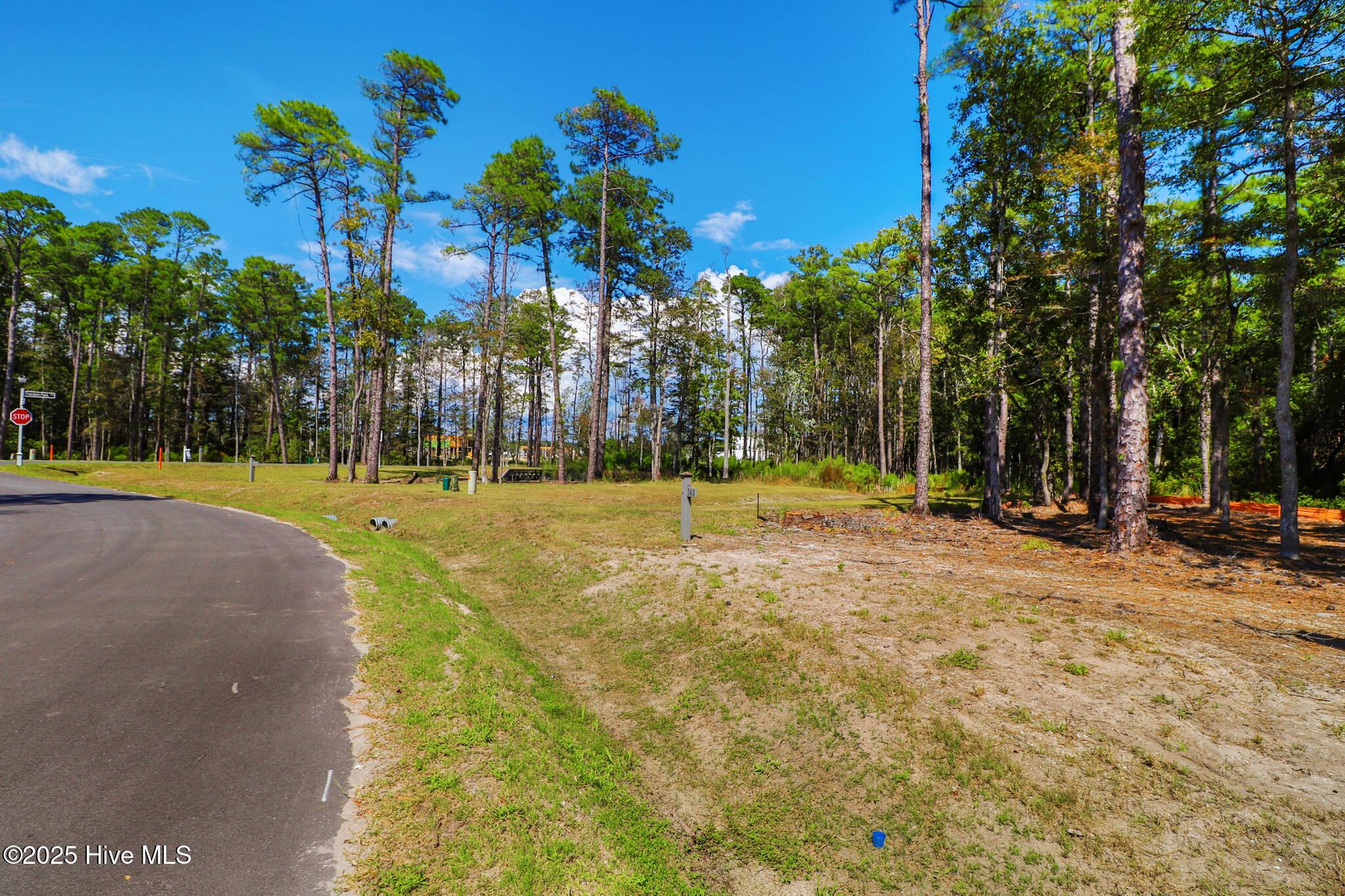 Image 4: 420 Summer Duck Drive, Lot 349