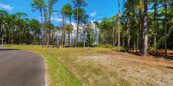Image 4: 420 Summer Duck Drive, Lot 349