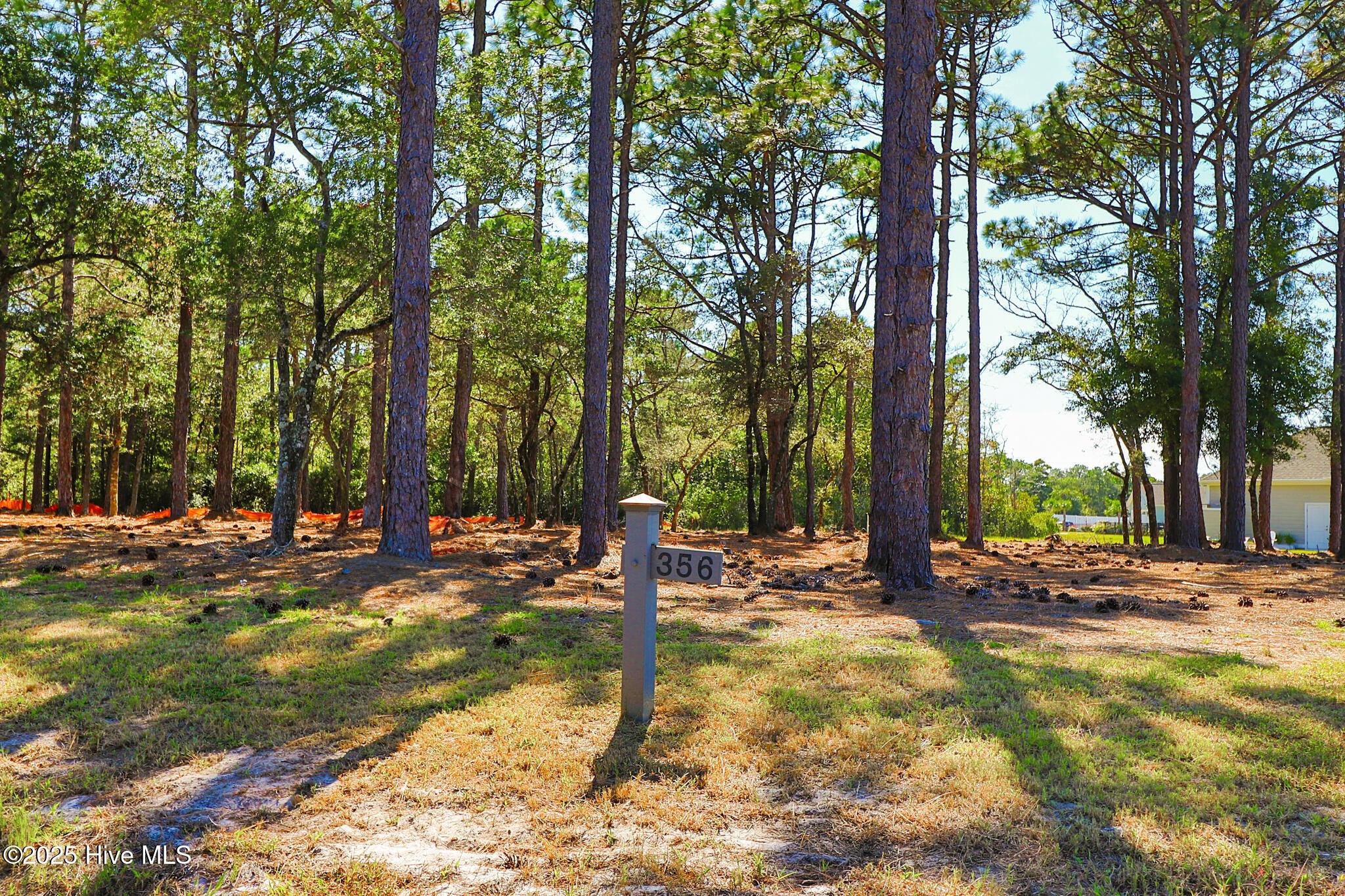 Image 3: 402 Summer Duck Drive