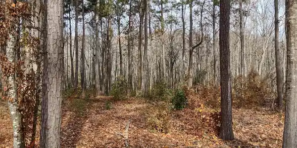 Image 3: IMG_20231204_101739264_HDR