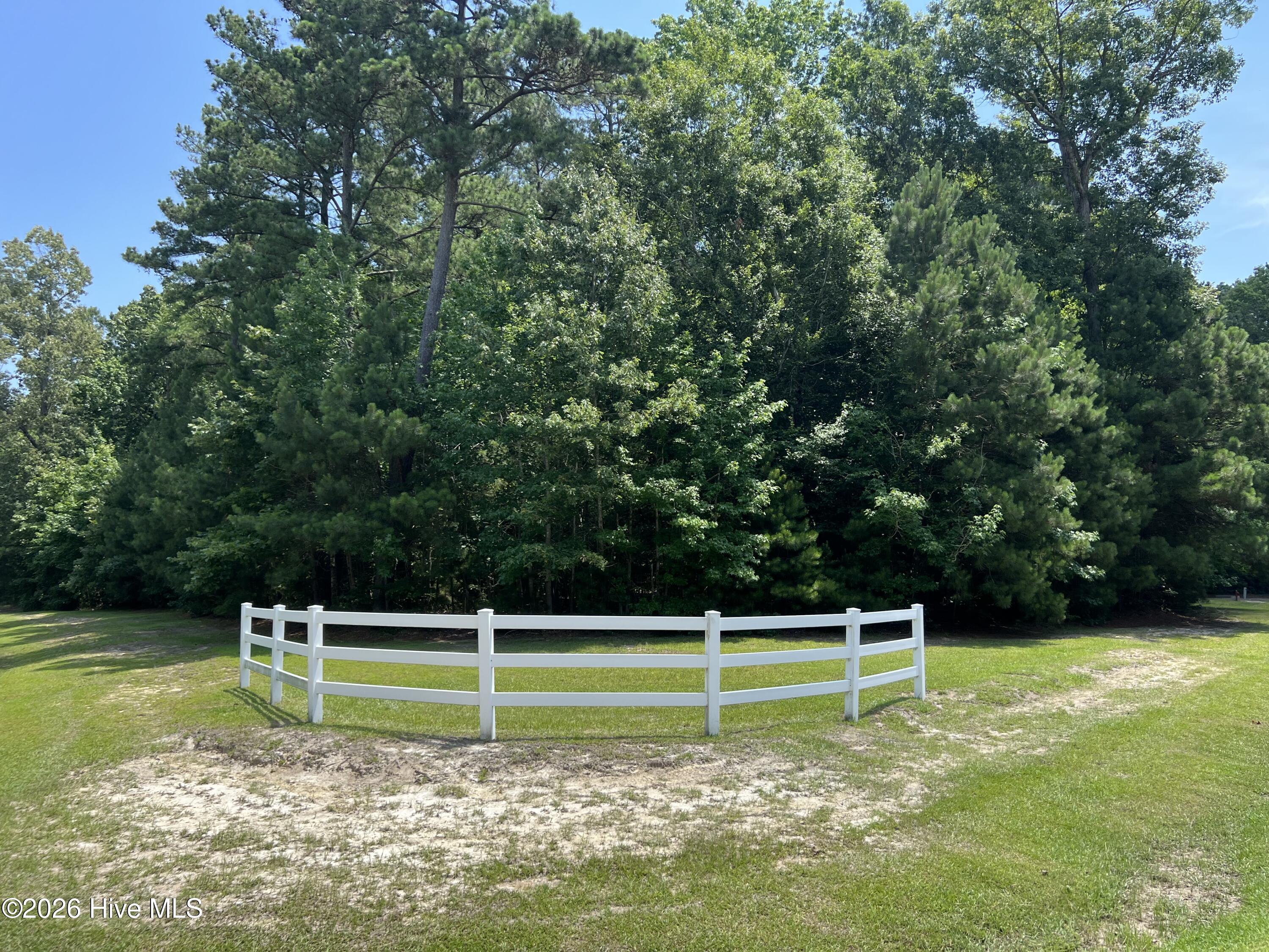 Image 1: lot 77 pic