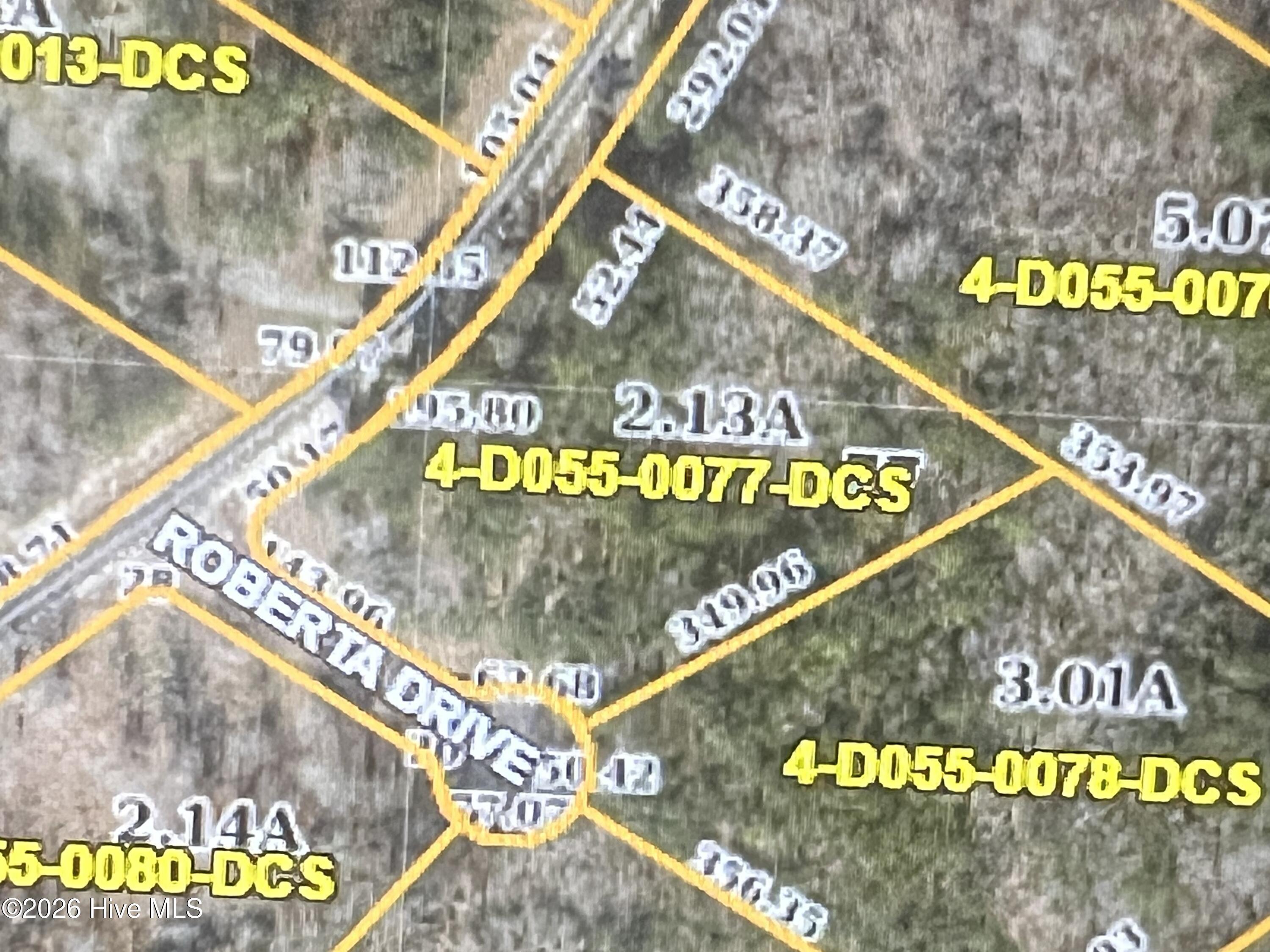 Image 3: Lot 77 GIS