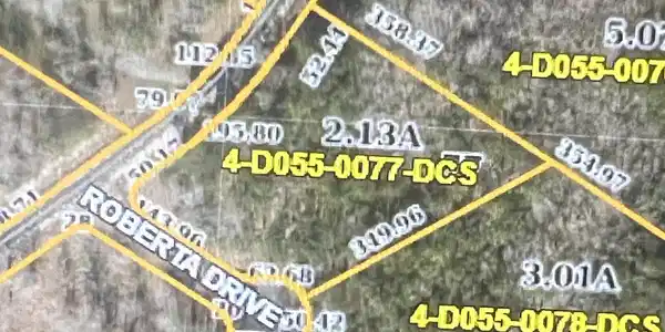 Image 3: Lot 77 GIS