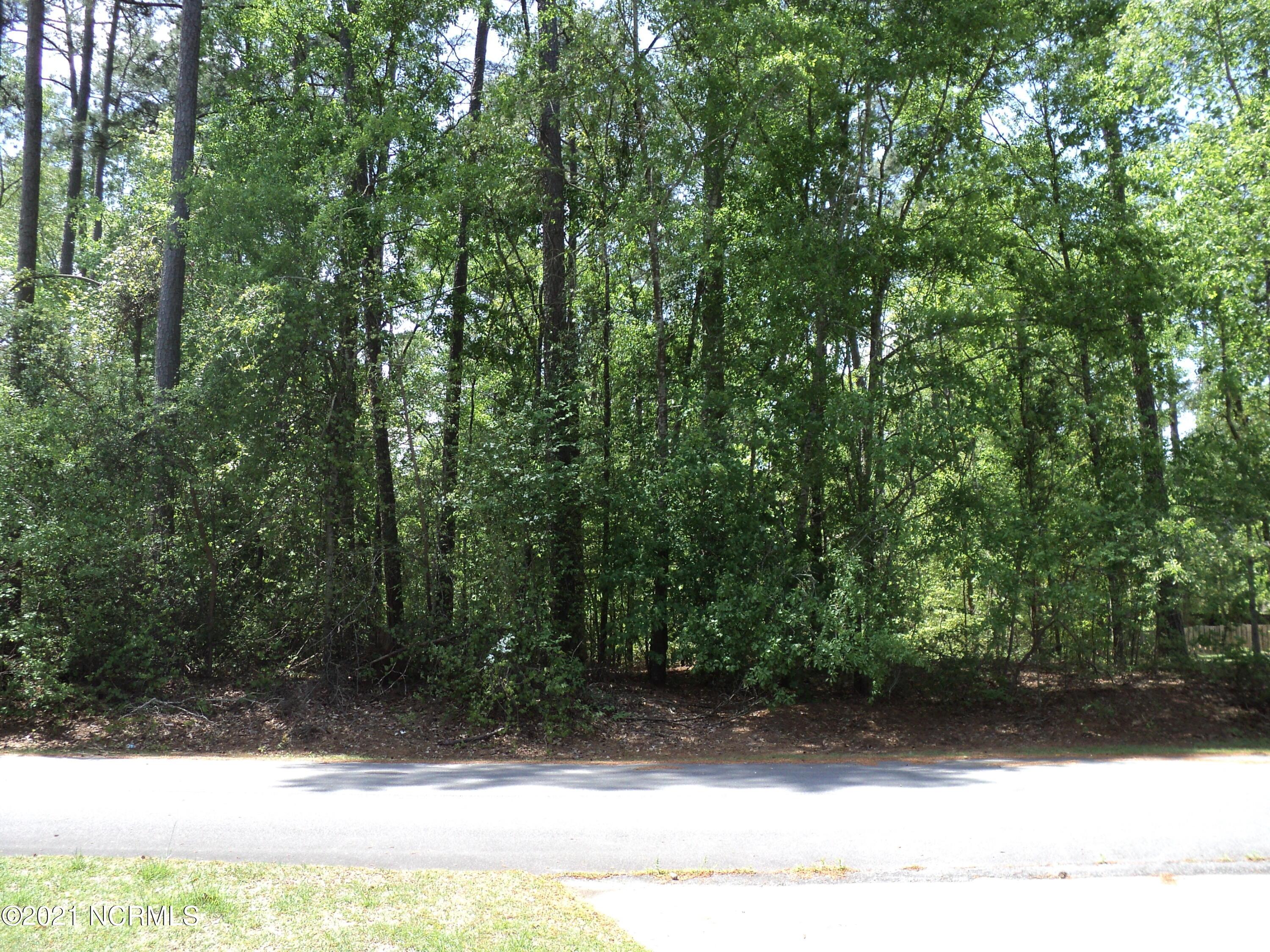 Image 3: 004 View from Road 2