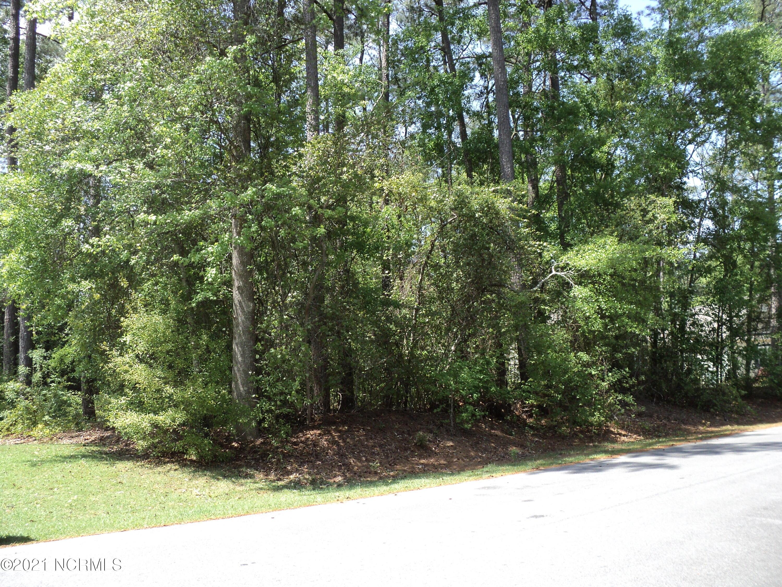 Image 4: 003 View from Road 1
