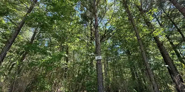 Image 2: 3