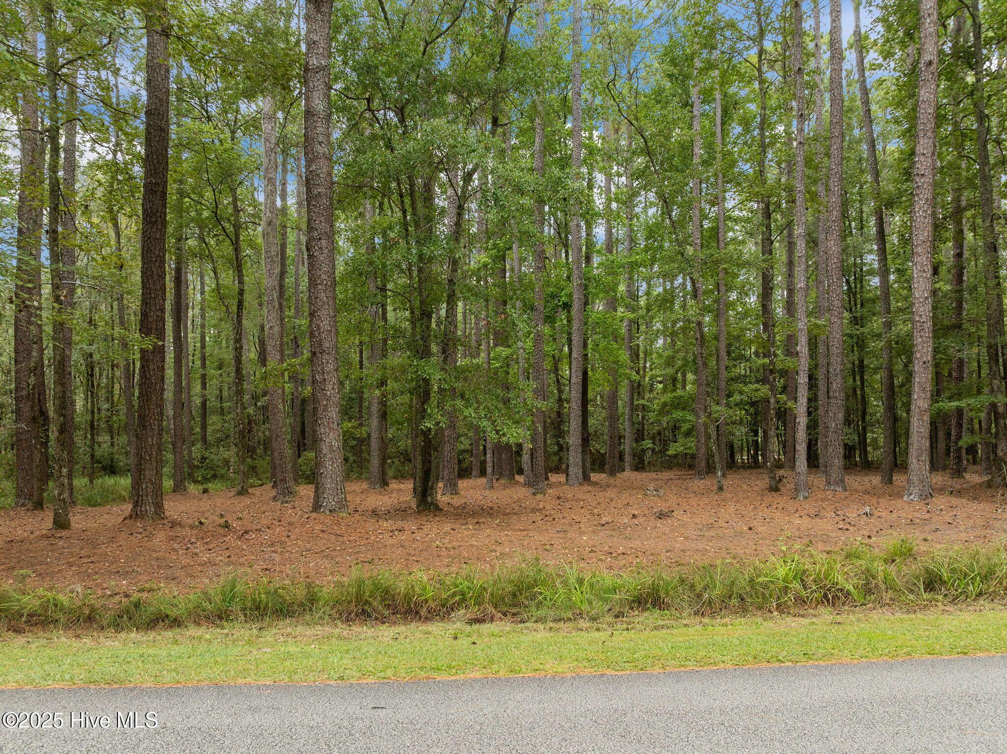 Image 2: 4-web-or-mls-19-print-DJI_0087 (1)