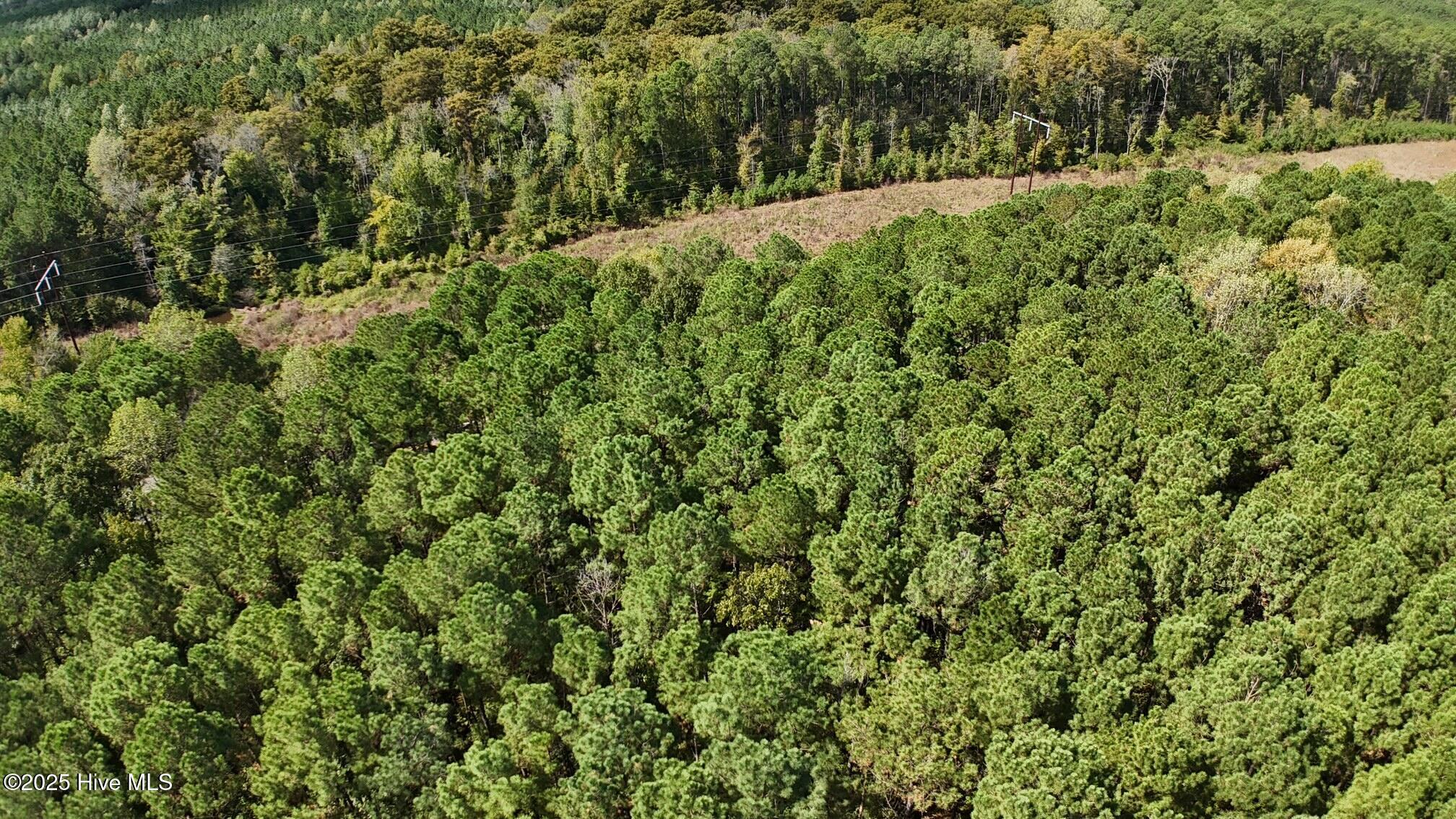 Image 3: dji_fly_20251002_122504_0094_17595306418