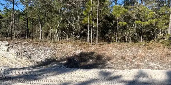 Lot 221 Starling Break Road