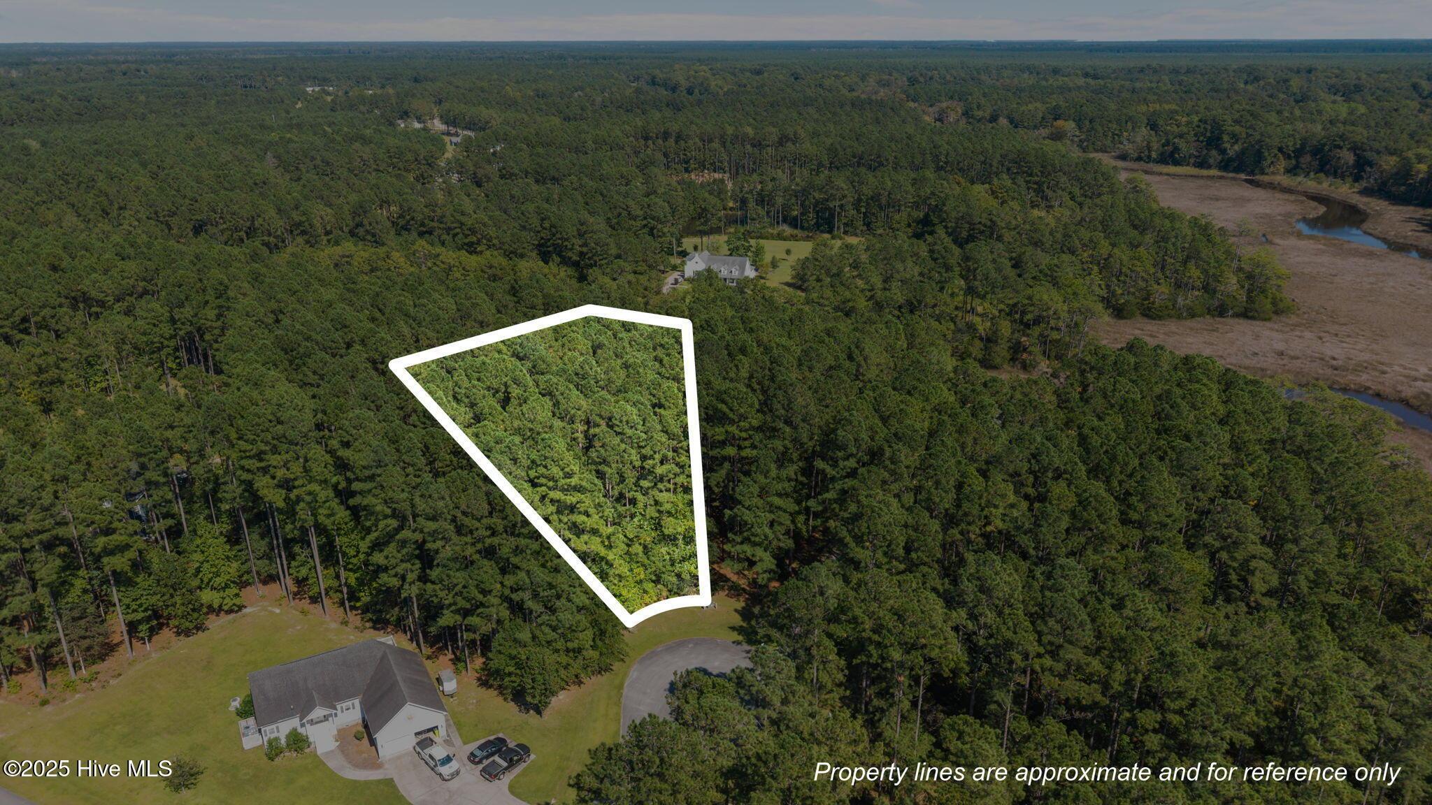 Image 2: 105 Sumter Ct. Aerial w/outline