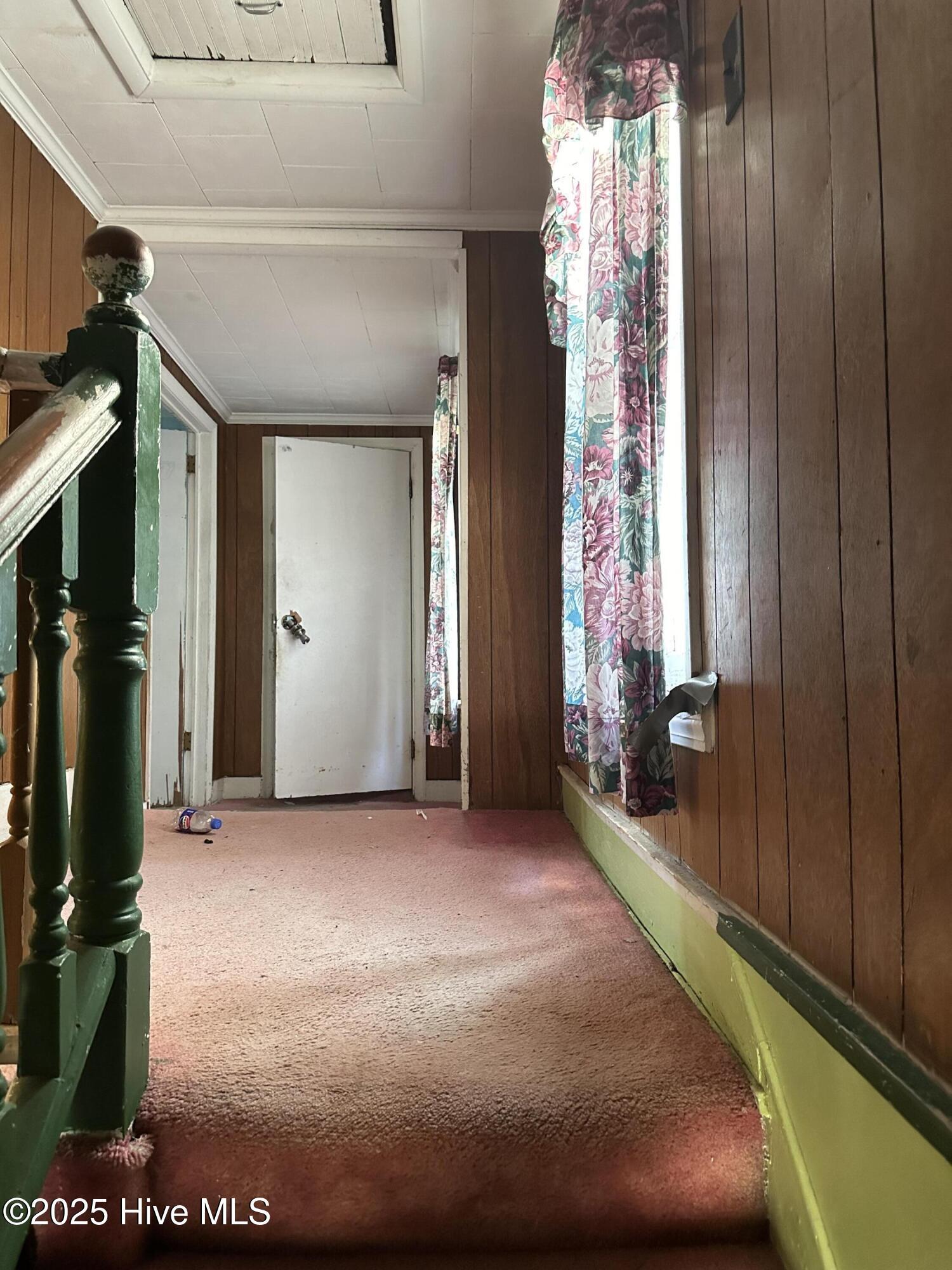 Image 2: IMG_6785