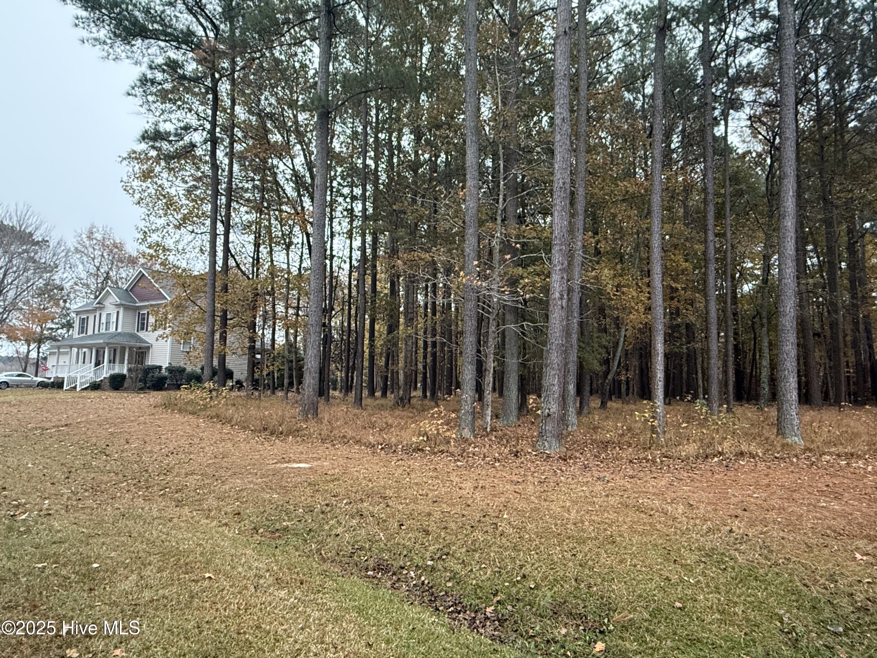 Image 3: IMG_0485
