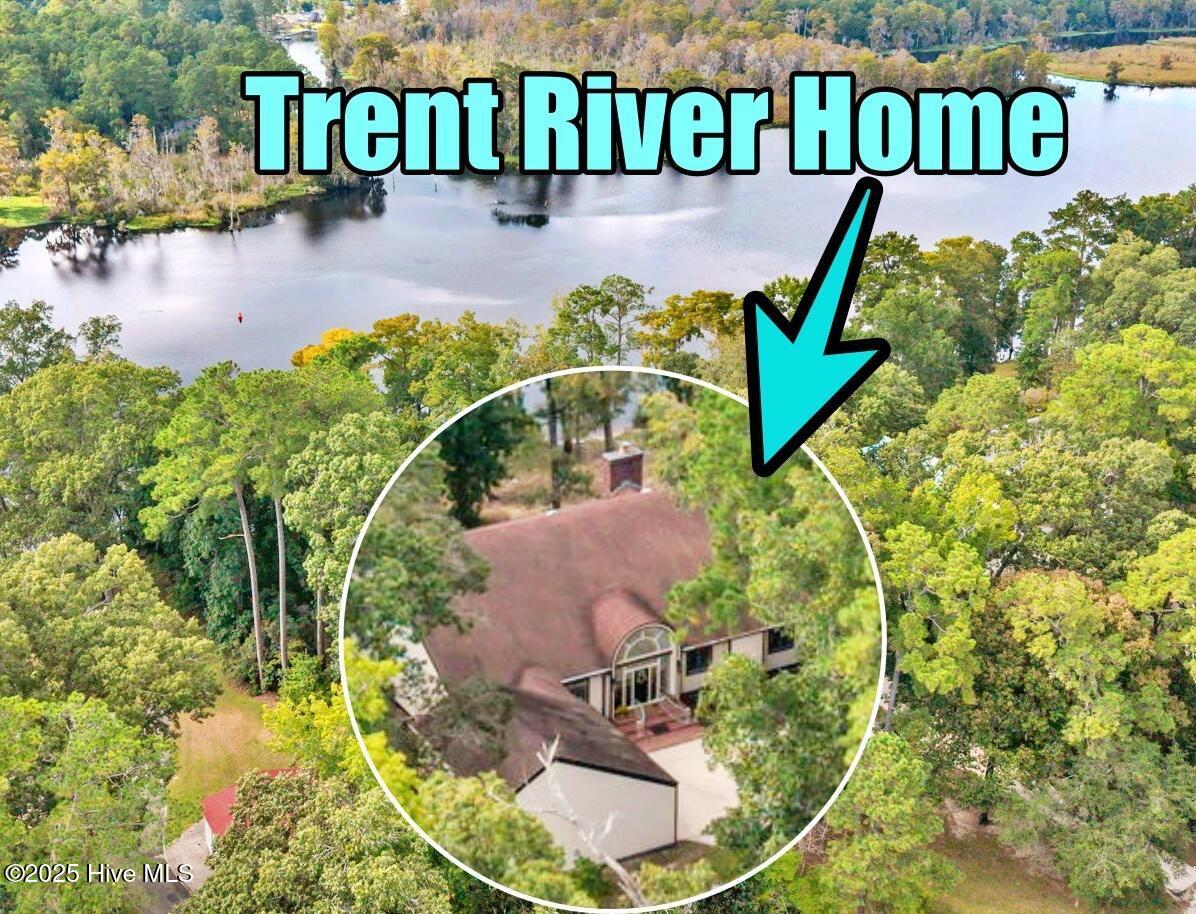 Image 1: Trent River Home aerial