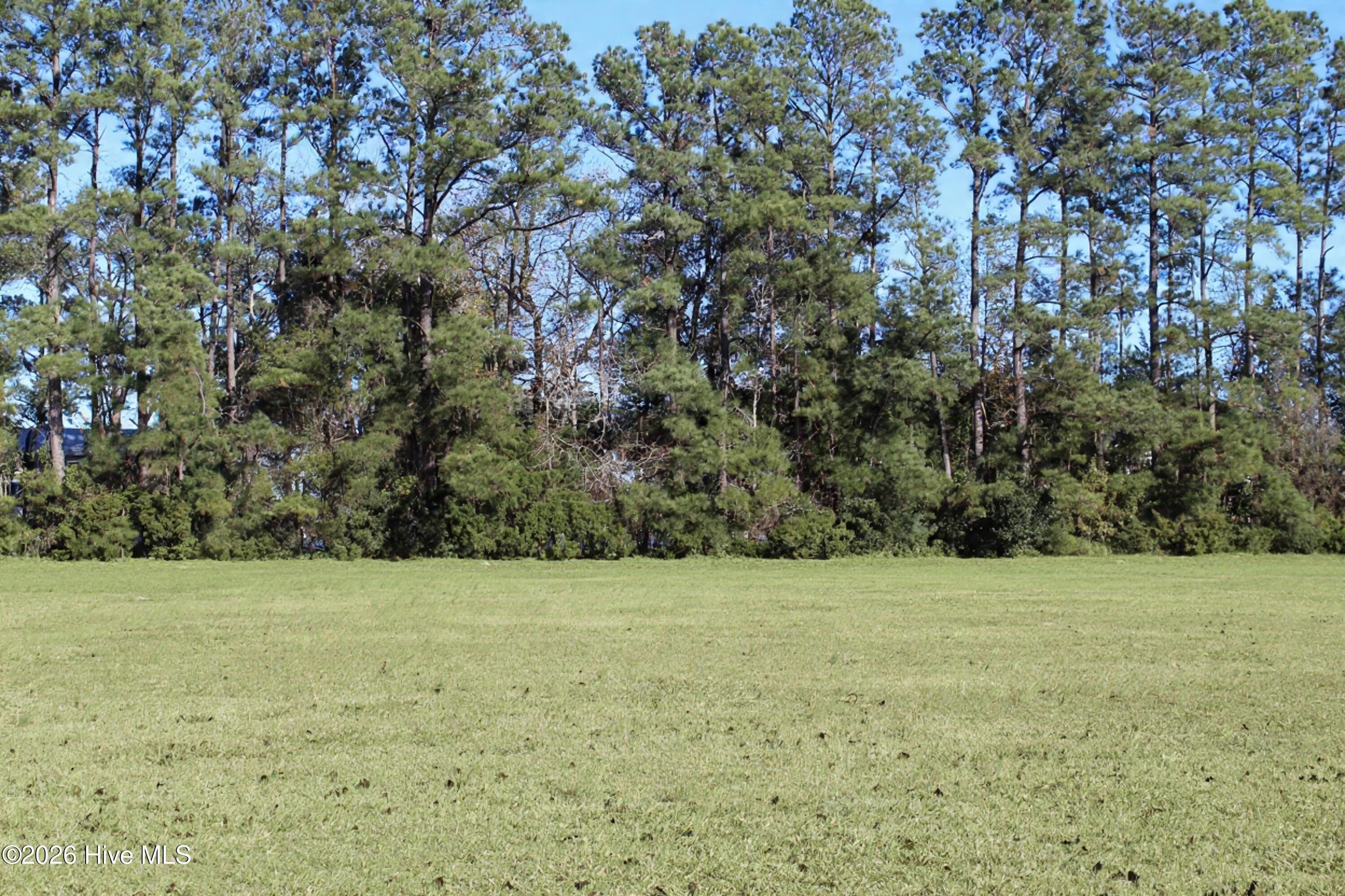 Image 2: View of back of lot