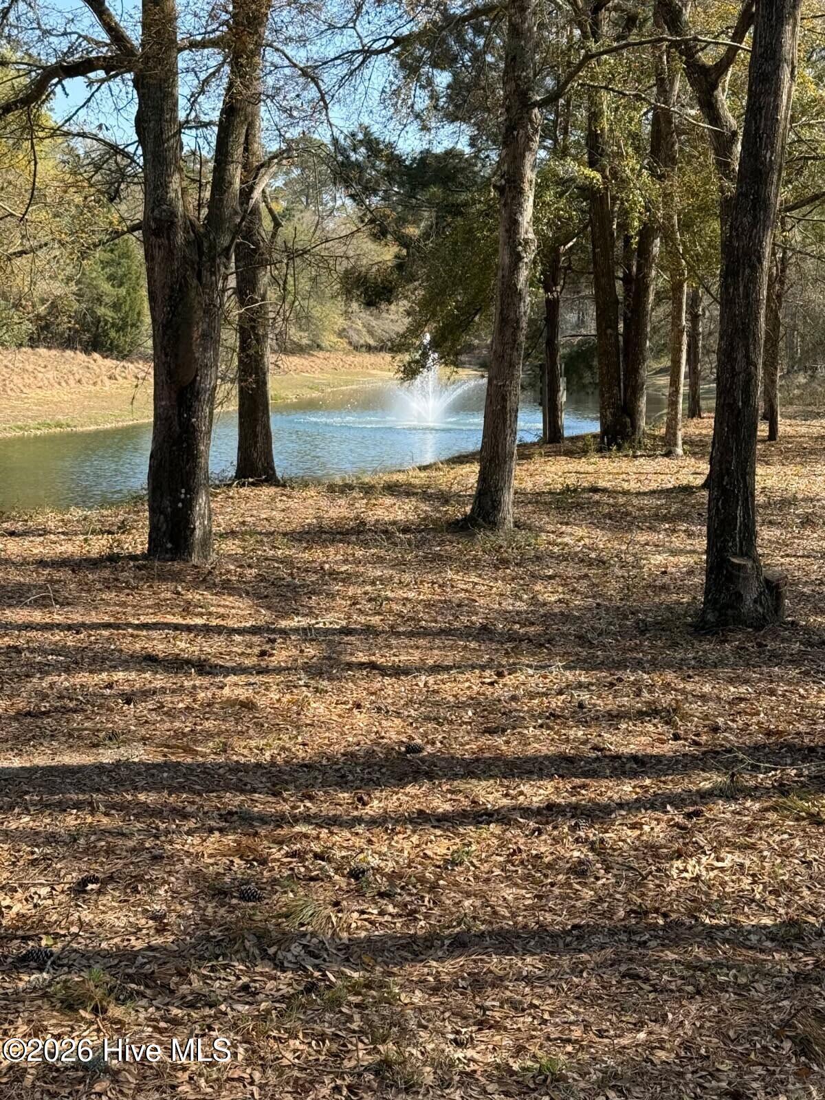Image 2: image000001