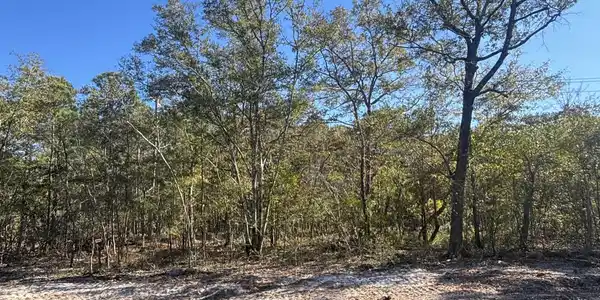 Lot 205 Coral Gull Street