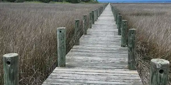 Image 3: Community Pier