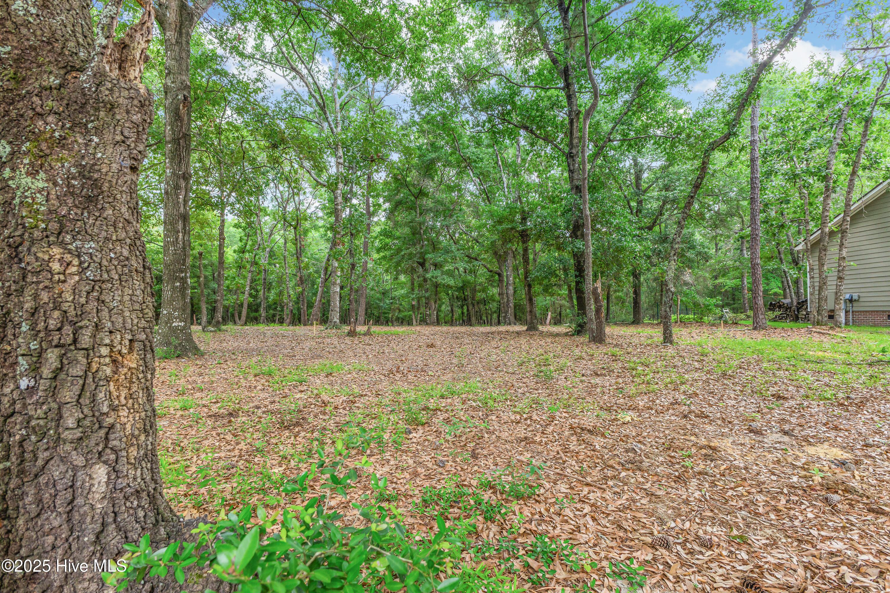Image 2: 3197 Marsh View-20