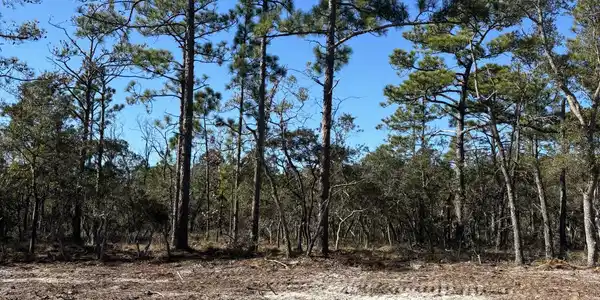 Lot 125 Coral Gull Street