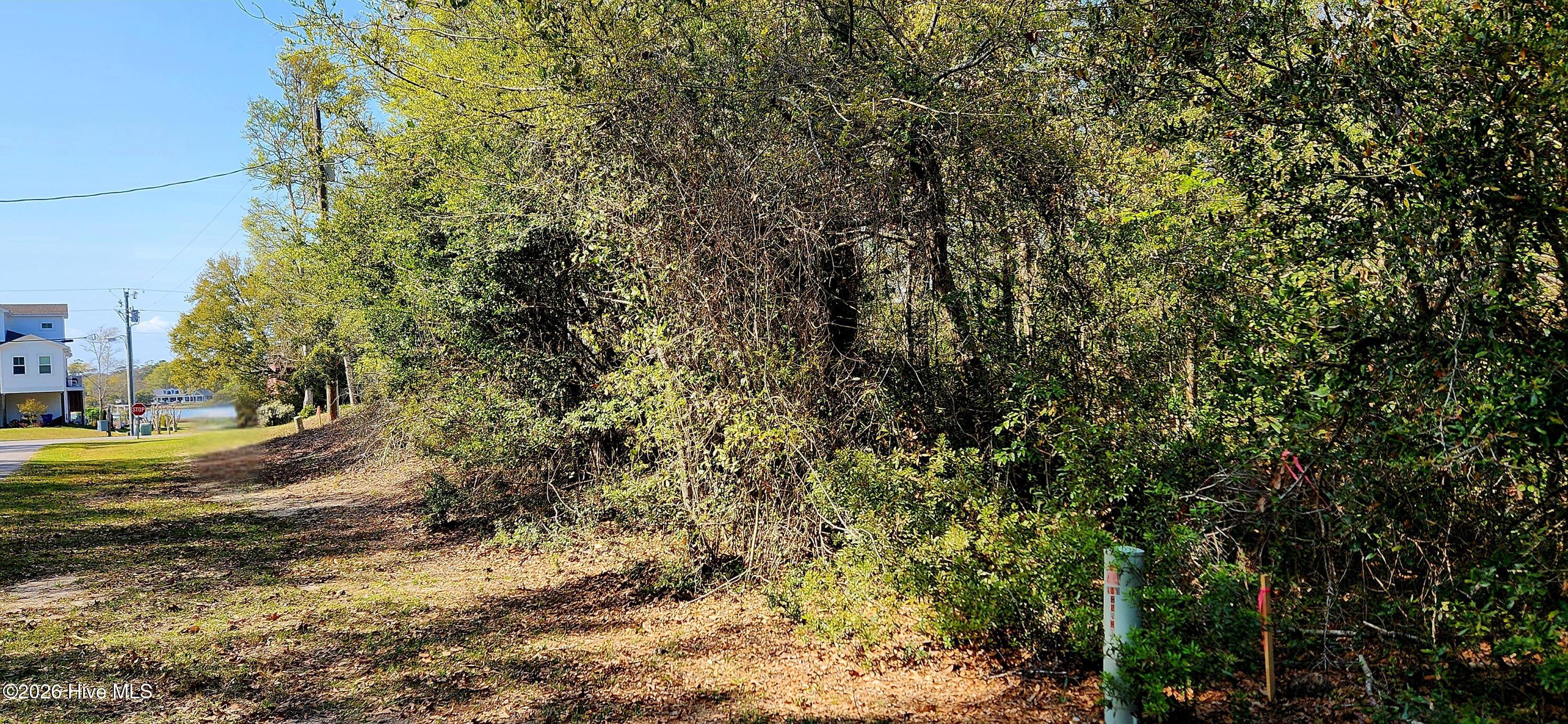 Image 3: lot view