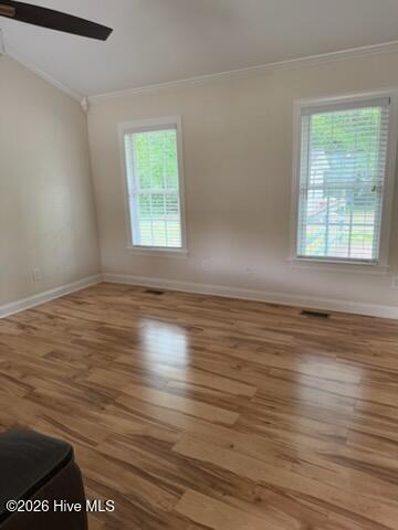Image 3: IMG_0252