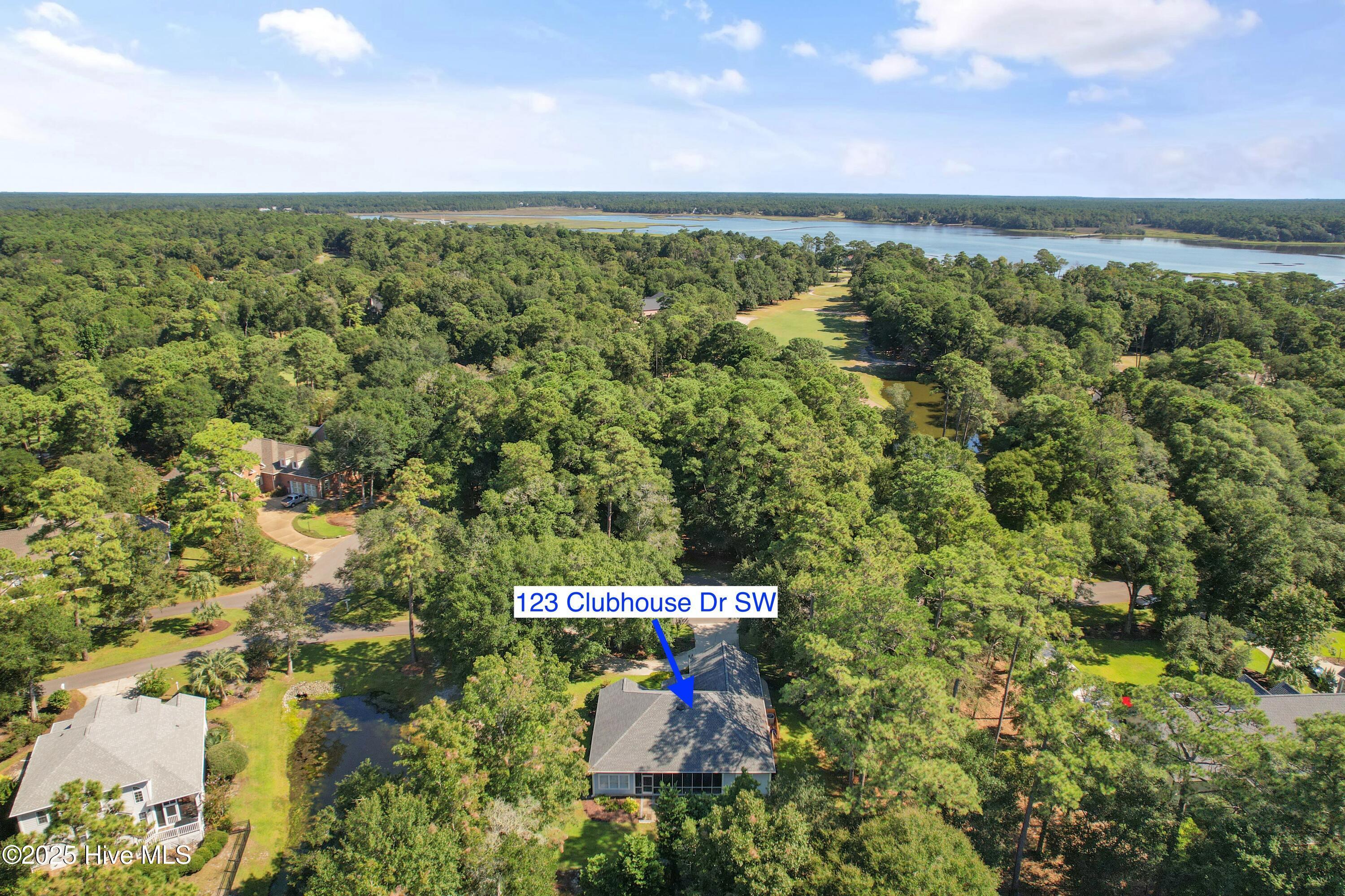 Image 3: 123ClubhouseDrSW - 50