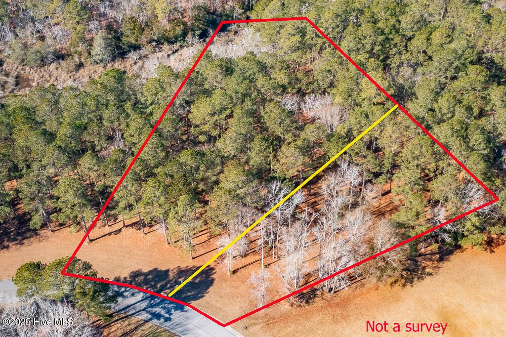 Image 2: DJI_0688-Edit-2