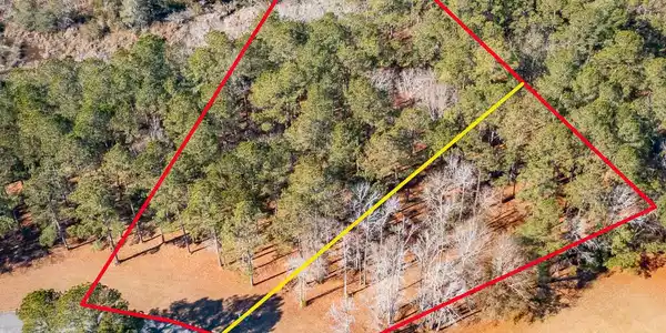 Image 2: DJI_0688-Edit-2