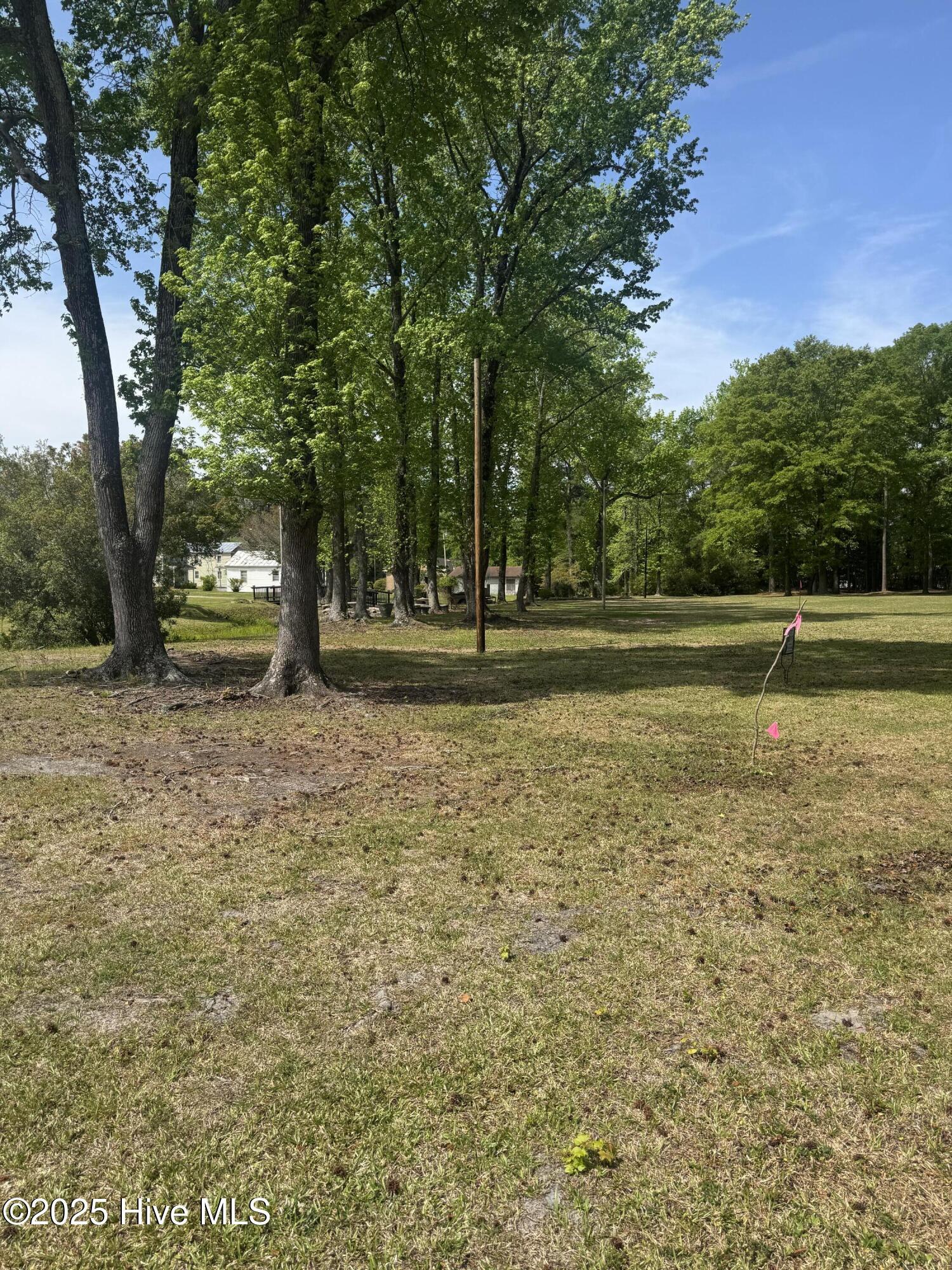 Image 2: Picture Four