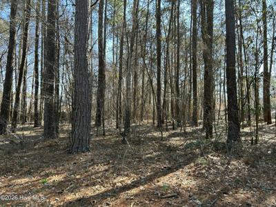 1502 Sac Trail
