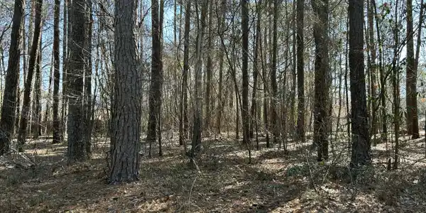 1502 Sac Trail