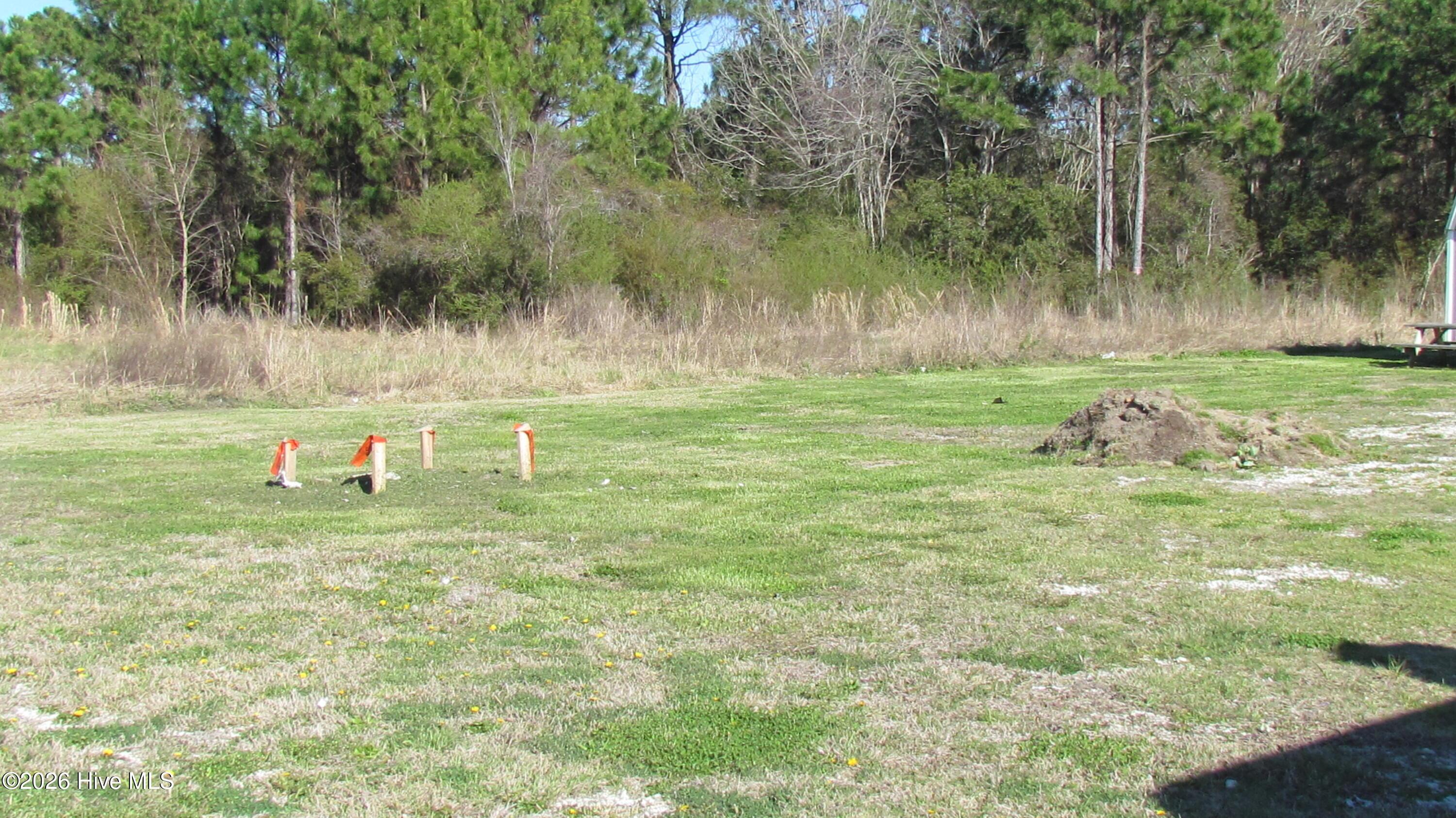 Image 3: IMG_5208