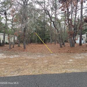 3317 Marlin Drive