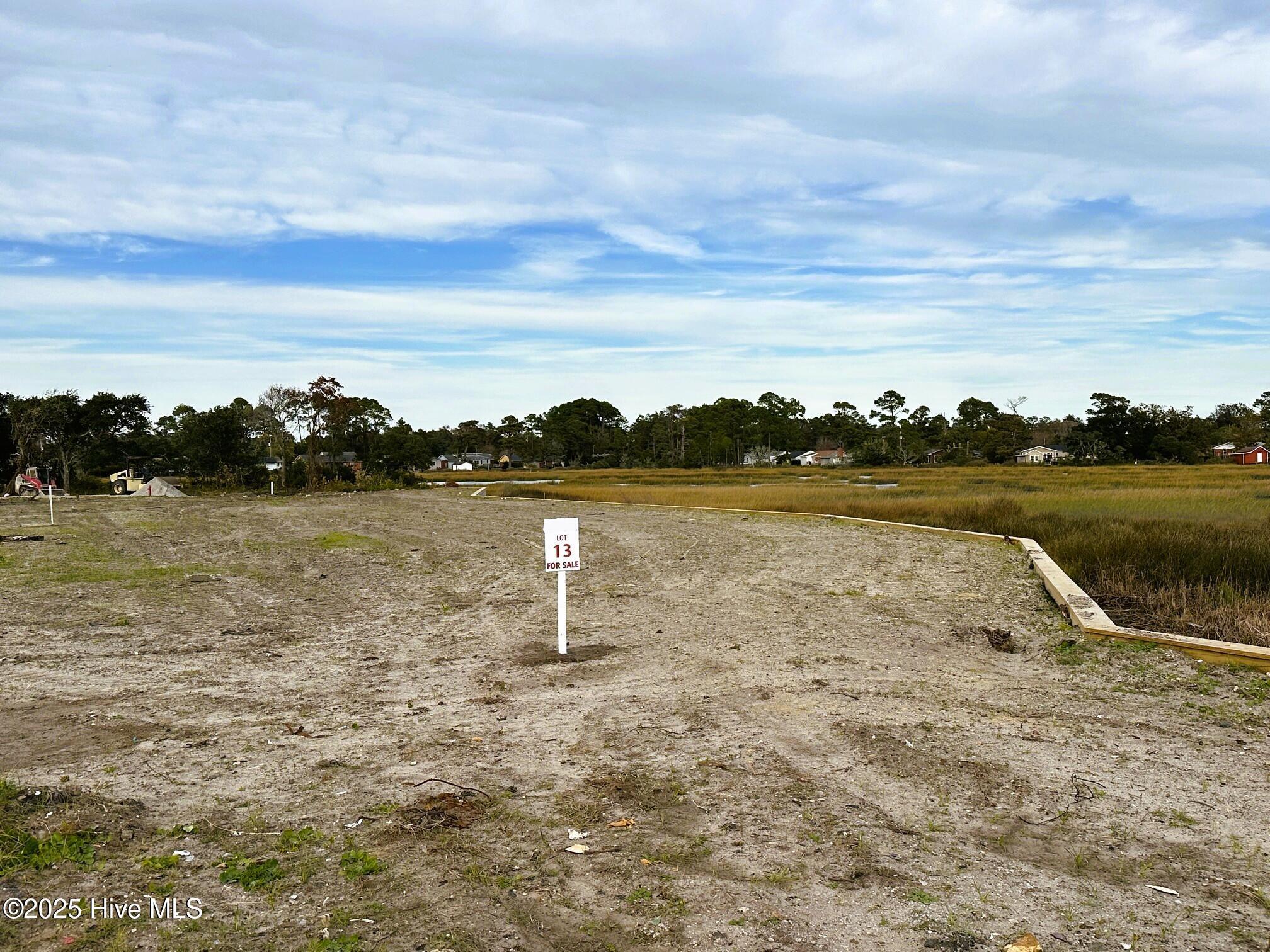 Image 1: Lot 13