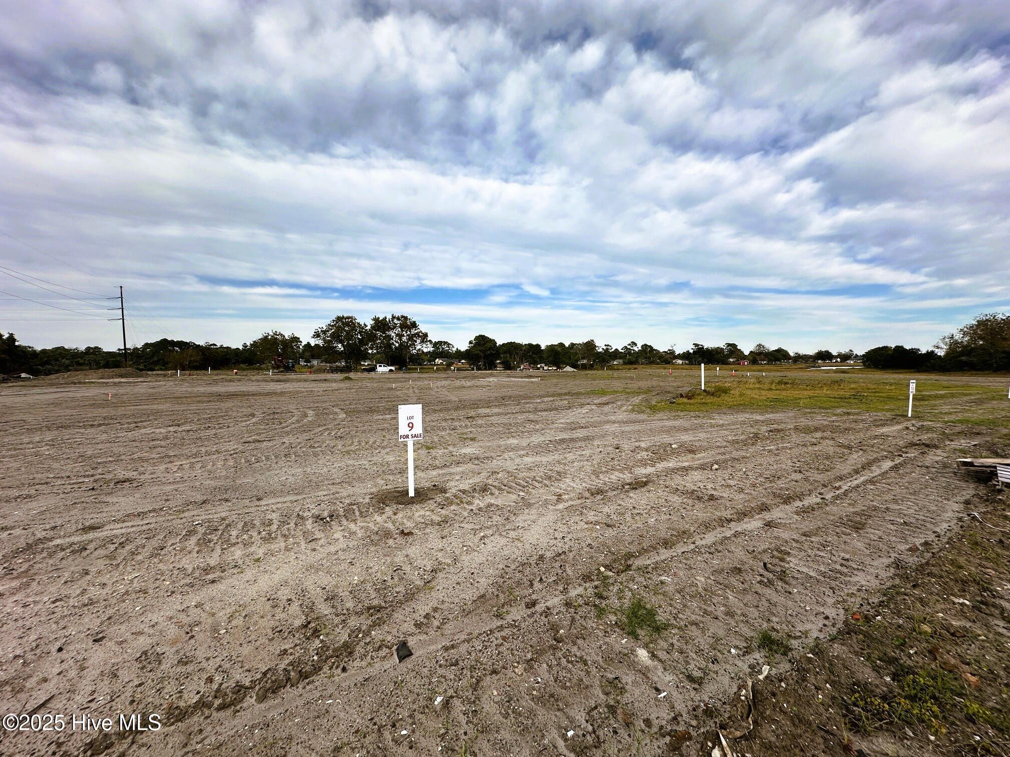 Image 1: Lot 9