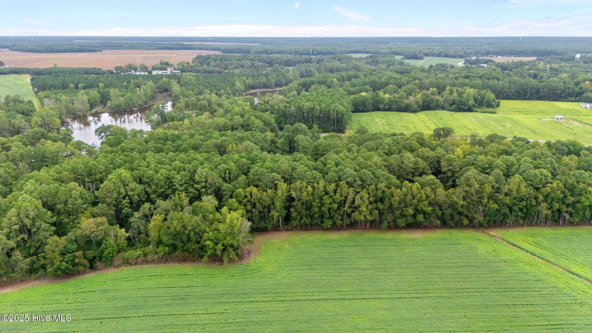 Image 2: 809 Sail Haven Dr